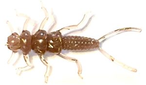 Tan River Bugz