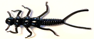 Coal River Bugz